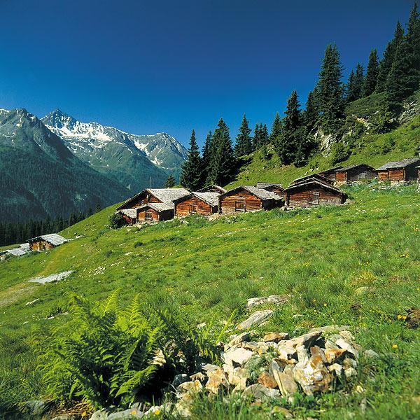 Alp Chalet Appartement Kappl  Eksteriør bilde